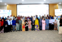 Industries culturelles et créatives : renforcer les capacités pour faire émerger un véritable écosystème entrepreneurial à Djibouti