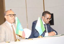 La Corne de l’Afrique accélère son intégration commerciale