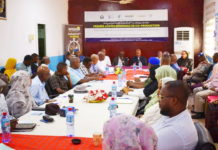Prévisions météo : transformer l’alerte en action pour mieux protéger les populations