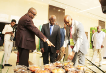Djibouti lance son Compact AgriConnect pour accélérer la transformation du secteur agroalimentaire
