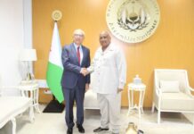 Djibouti-Türkiye : le président de l’Assemblée nationale salue l’engagement de l’ambassadeur Erdal Sabri Ergen