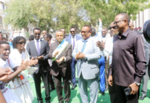 Djibouti–Mogadiscio : les deux capitales ouvrent un nouveau chapitre de leur coopération