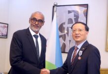 Hu Bin élevé au grade d’Officier de l’Ordre national du 27 Juin