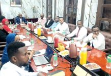 Djibouti accélère sa transformation numérique avec les projets DFN et EARDIP