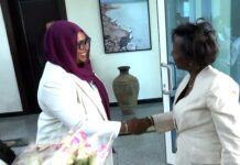 La Francophonie renforce le dialogue avec Djibouti