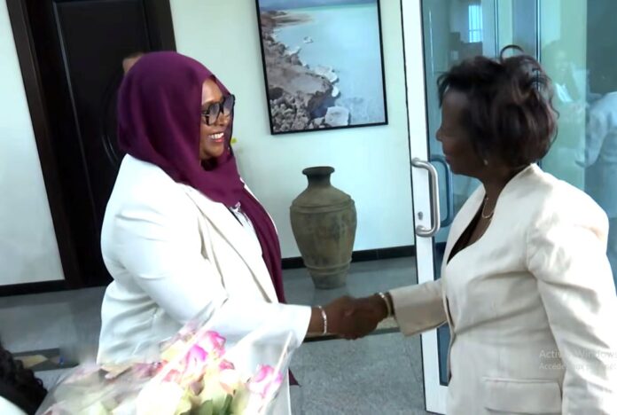 La Francophonie renforce le dialogue avec Djibouti