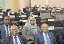 Réfugiés et crise humanitaire : Djibouti appelle à une solidarité internationale à la hauteur des besoins