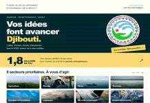 Le FDED renouvelle son engagement en faveur de l’entrepreneuriat et du développement économique